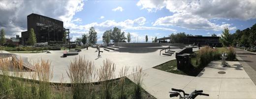 burlington/a_dog/IMG_4836.JPG
