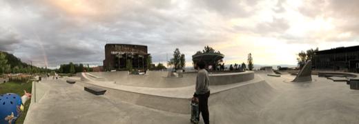 burlington/a_dog/IMG_4880.JPG